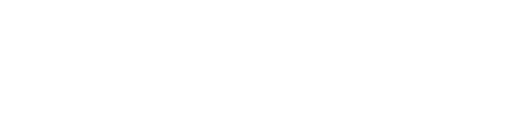 Saudi Visa Connect Company White Logo